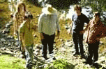 Band Thumbnail 1
